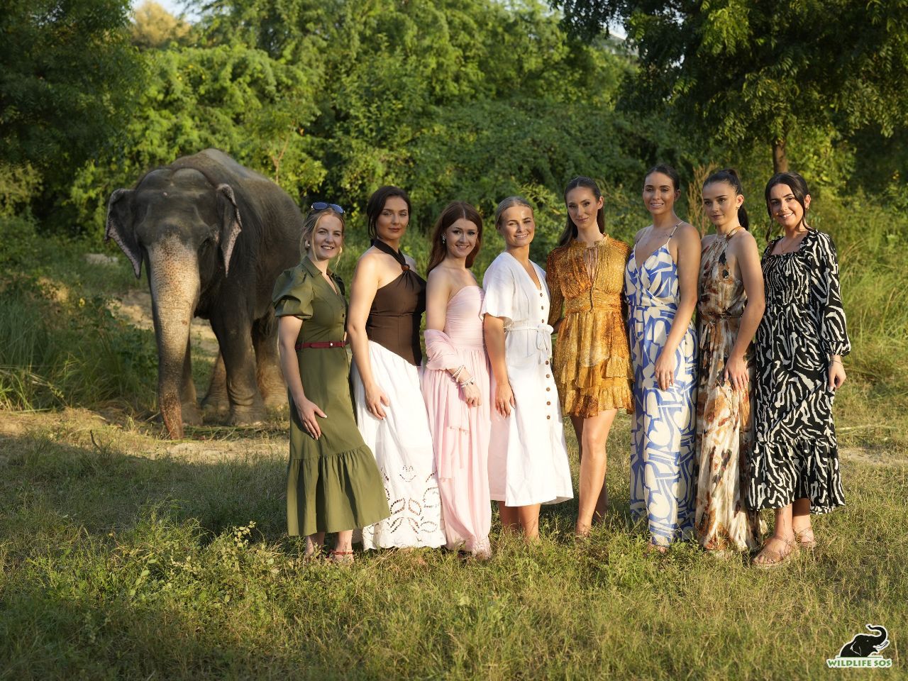 करुणा का ताज: मिस यूनिवर्स ग्रेट ब्रिटेन 2025 ने वाइल्डलाइफ एसओएस में हाथियों के प्रति क्रूरता के खिलाफ उठाई आवाज़