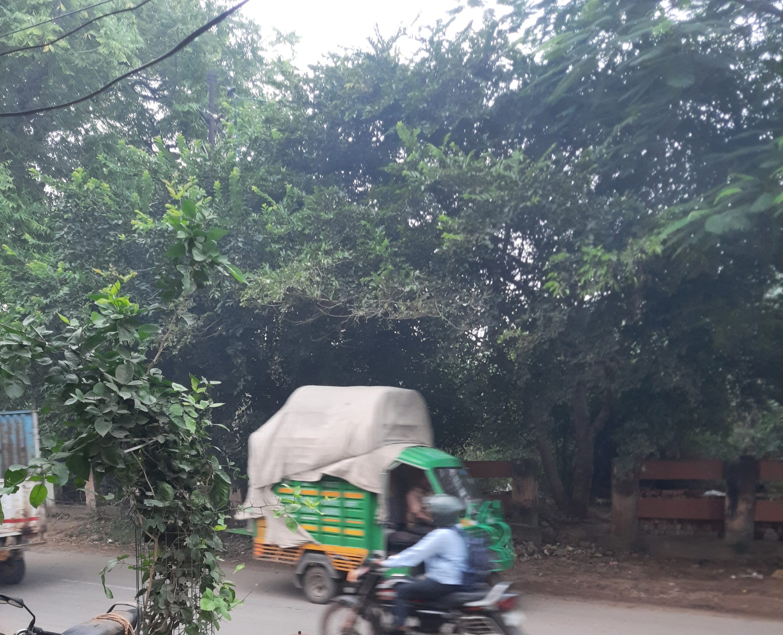 आगरा में बारिश के बाद प्रदूषण से राहत! 19 दिन बाद हवा हुई ‘संतोषजनक’,