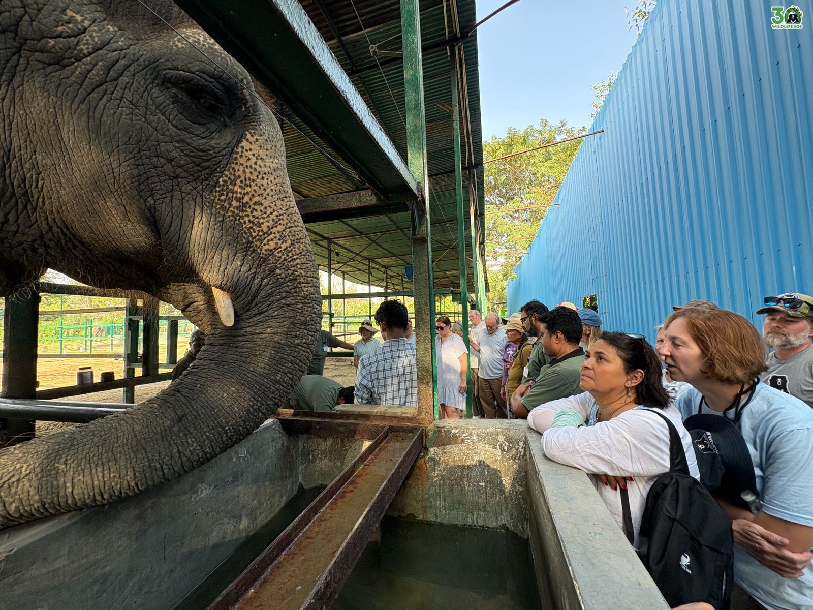 वाइल्डलाइफ एसओएस ने लॉन्च की भारत की पहली ‘ग्लोबल एलीफैंट मास्टरक्लास’, संरक्षण का भविष्य होगा मजबूत