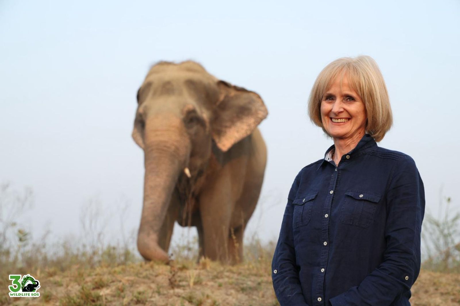 अंतरराष्ट्रीय स्टेज निर्देशक कैरोलिन क्लेग ने वन्यजीव संरक्षण के लिए वाइल्डलाइफ एसओएस में किया स्वयंसेवा