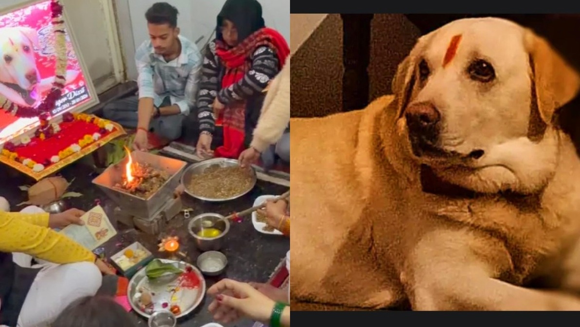 ऐसा प्रेम देखा क्या कहीं! आगरा के परिवार ने पालतू कुत्ते को दी ‘बेटे’ जैसी विदाई, मुंडन और तेरहवीं की रस्में देख हर कोई भावुक