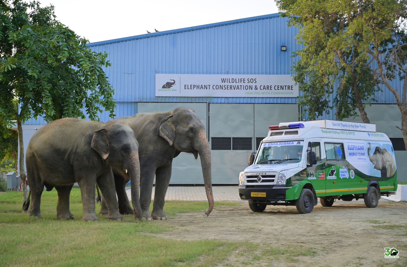 देखभाल और करुणा के 30 वर्ष: कैसे वाइल्डलाइफ एसओएस ने भारत में वन्यजीव संरक्षण की तस्वीर बदल दी