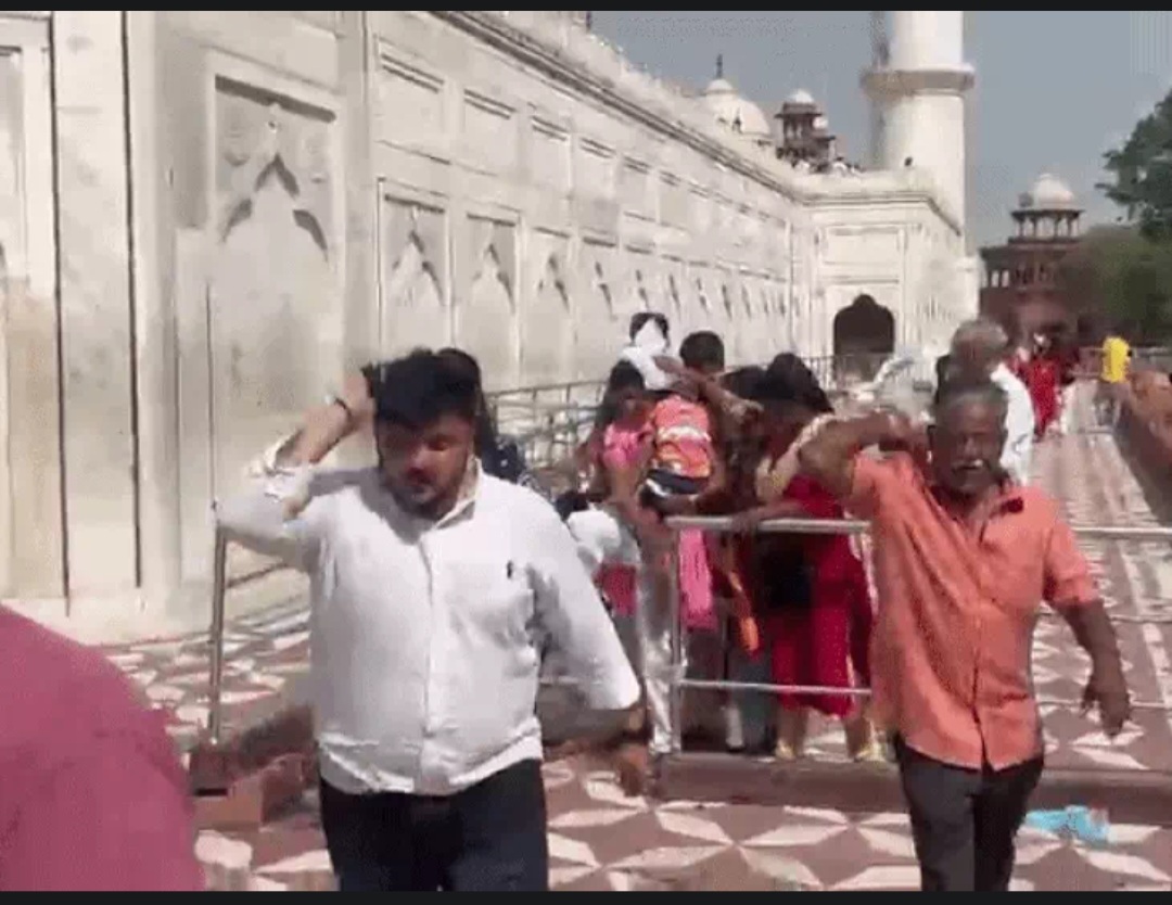 ताजमहल में अचानक मधुमक्खियों का तांडव: छत्ता टूटते ही पर्यटकों में मची भगदड़, जान बचाने के लिए छिपे लोग