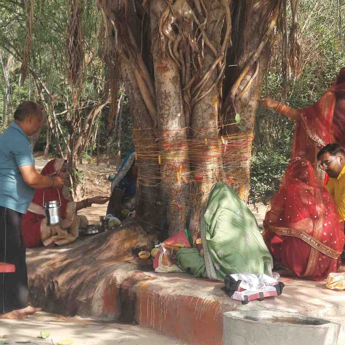 अखंड सौभाग्य की कामना: वट वृक्षों तले गूंजी सुहागिनों की सामूहिक पूजा, पति की लंबी आयु के लिए बांधा रक्षा सूत्र